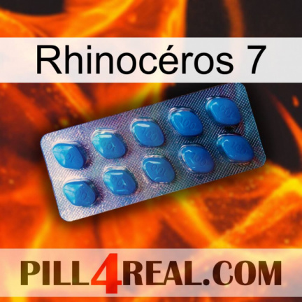 Rhinocéros 7 viagra1